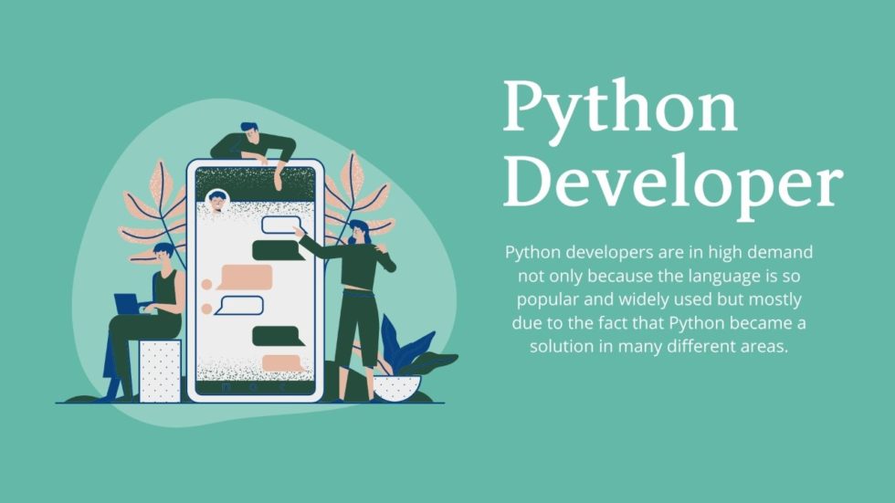 Python developer